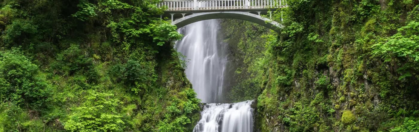 Waterfall and bridge surrounded by nature