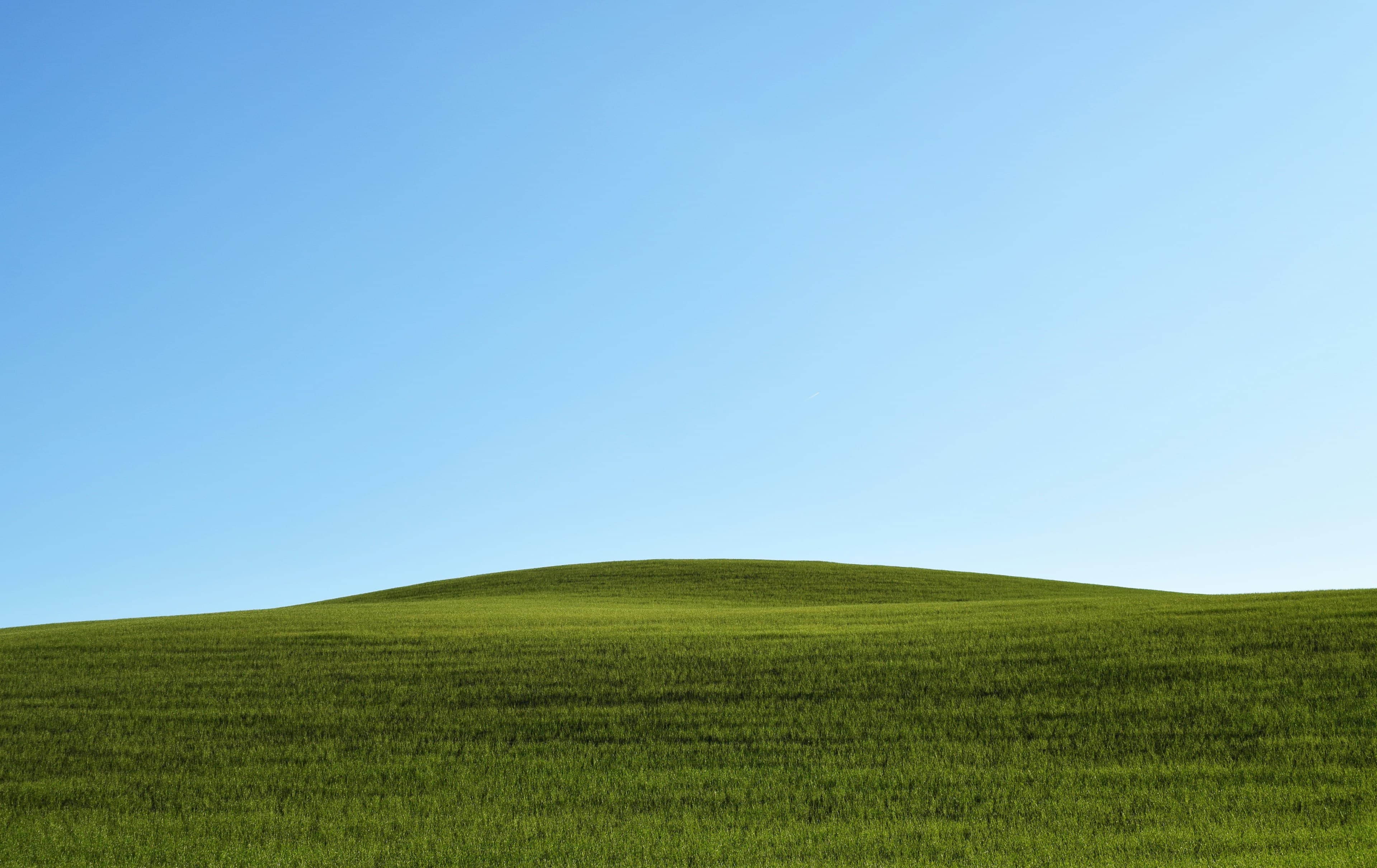 Open landscape of green grass under a soft blue sky.